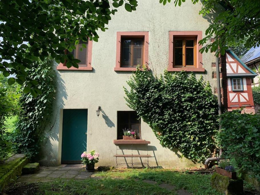 Ferienwohnung In Historischer Muehle بوتشين المظهر الخارجي الصورة